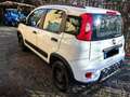 Fiat Panda Panda III 2021 4x4 Cross 0.9 t.air t. Cross 4x4 s Weiß - thumbnail 10