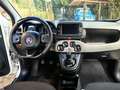 Fiat Panda Panda III 2021 4x4 Cross 0.9 t.air t. Cross 4x4 s Weiß - thumbnail 2
