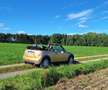 BMW Sonstige Mini Cabrio Gold - thumbnail 5