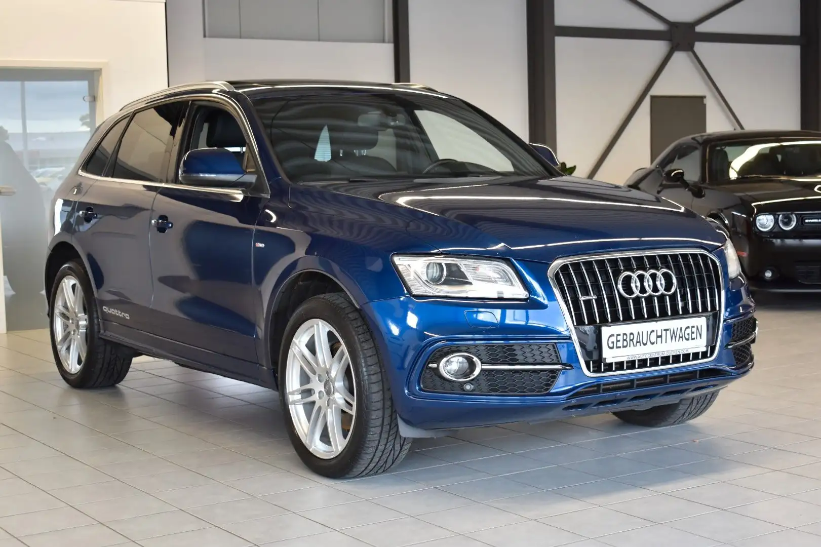 Audi Q5 3.0 TDI quattro/S-LINE SPORT +/NAVI/CAM/ Blau - 1
