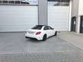 Mercedes-Benz C 63 AMG C 63 AMG S UNICOPROP - TETTO- TAGLIANDI MERCEDES Bianco - thumbnail 8