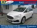 Ford Galaxy 2,0 EcoBlue SCR AWD Vignale Aut. Bianco - thumbnail 1