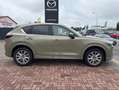 Mazda CX-5 2.5 e-Skyavtiv G 194ps 6AT AWD Takumi AHK Vert - thumbnail 2