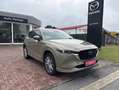 Mazda CX-5 2.5 e-Skyavtiv G 194ps 6AT AWD Takumi AHK Vert - thumbnail 1