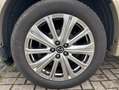 Mazda CX-5 2.5 e-Skyavtiv G 194ps 6AT AWD Takumi AHK Vert - thumbnail 7