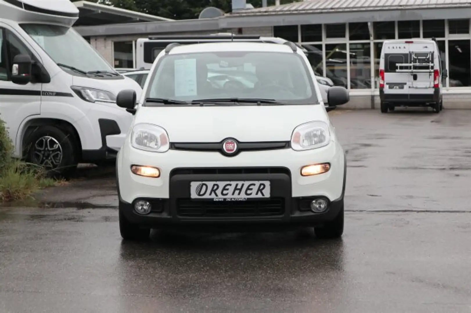 Fiat Panda Panda 1.0 Mild Hybrid Klima/eFH./NSW Bianco - 2
