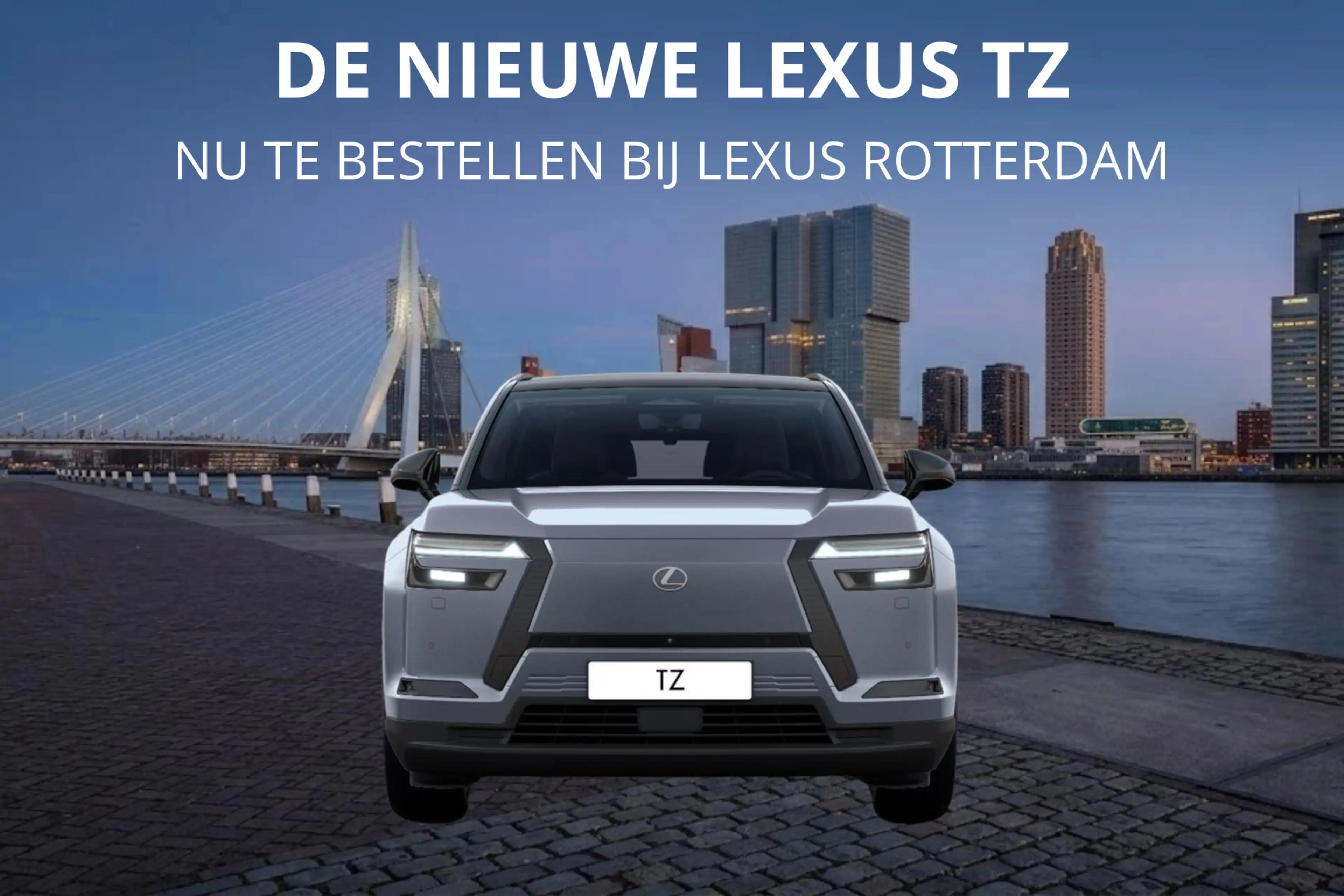 Lexus Others TZ 550e President Line 95,8 kWh | Mark Levinson | — photo 8