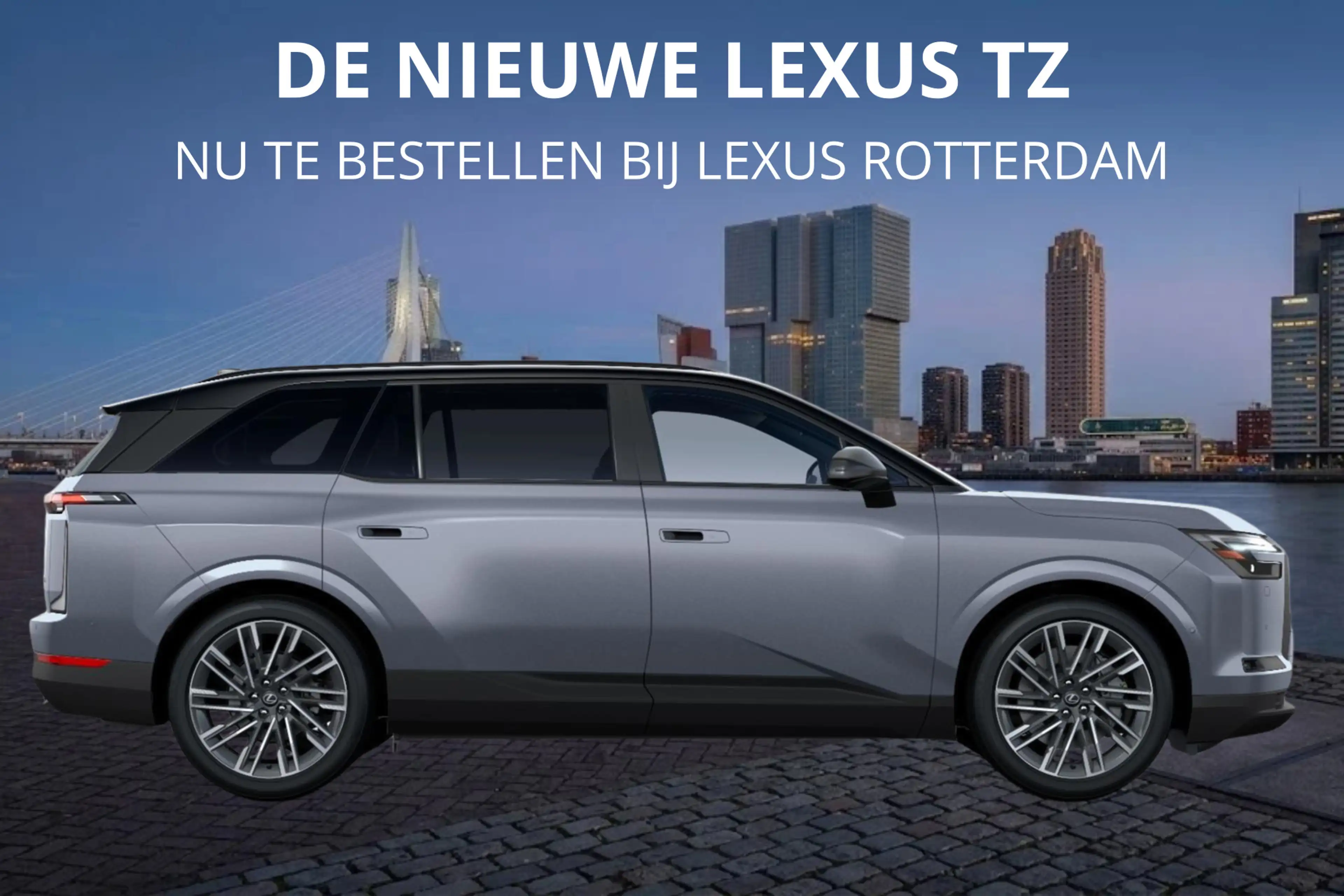 Lexus Others TZ 550e President Line 95,8 kWh | Mark Levinson | — photo 6