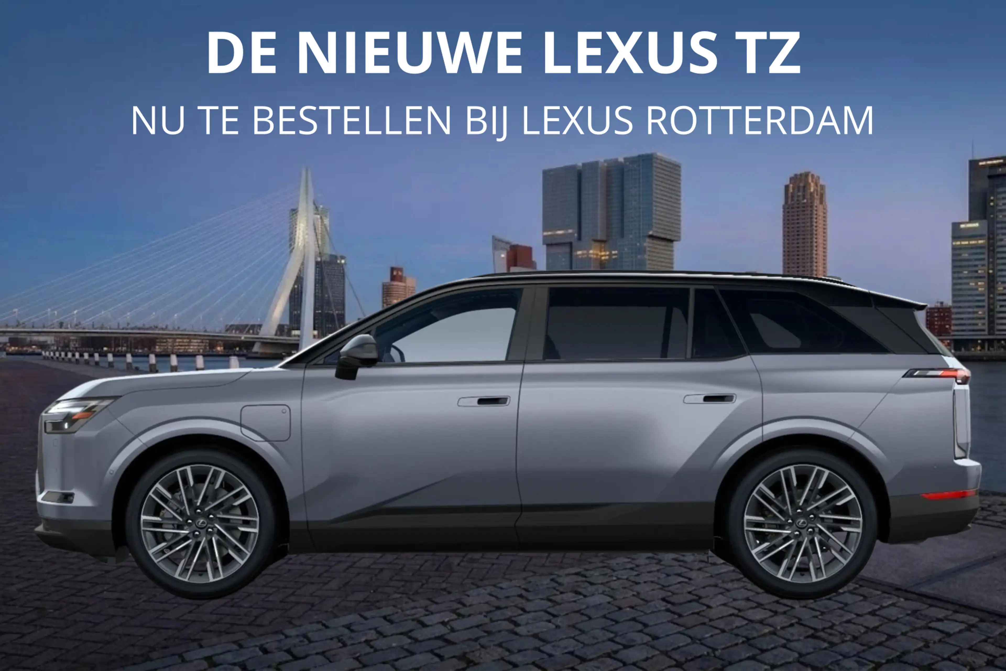Lexus Others TZ 550e President Line 95,8 kWh | Mark Levinson | — photo 2