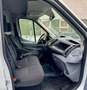 Ford Transit Kasten 350 L3 Trend,Temp,AHK,SORTIMO, Weiß - thumbnail 11
