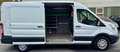 Ford Transit Kasten 350 L3 Trend,Temp,AHK,SORTIMO, Weiß - thumbnail 3