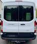 Ford Transit Kasten 350 L3 Trend,Temp,AHK,SORTIMO, Weiß - thumbnail 9