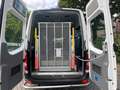Volkswagen Crafter 2.0 Tdi Maxi L3 9 Sitze Klima+Lift Euro5 Weiß - thumbnail 21