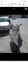Honda SH 300 Bianco - thumbnail 2