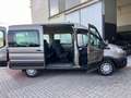 Ford Transit Bus 350 2.0 EcoBl. 170CV PL-TM Comb compl.solBUS 9 Bronze - thumbnail 1
