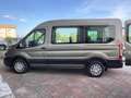 Ford Transit Bus 350 2.0 EcoBl. 170CV PL-TM Comb compl.solBUS 9 Bronze - thumbnail 2