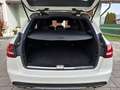 Mercedes-Benz C 450 AMG T 4MATIC Line Aut. - thumbnail 18