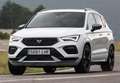 CUPRA Ateca 2.0 TSI 300 DSG 4Drive Gris - thumbnail 10