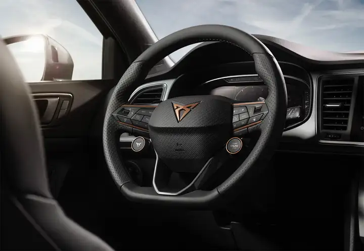 Cupra Ateca 2.0 TSI 4Drive DSG 2022, foto 24