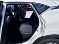 Renault Captur Captur 1.0 tce Intens Gpl 100cv Bianco - thumbnail 10