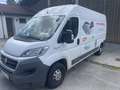 Fiat Ducato 130 L4H2 RS: 4035 mm Alb - thumbnail 6