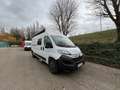 Caravans-Wohnm Pössl Clever Celebration pop up - 4p Weiß - thumbnail 19