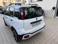 Fiat Panda 1.2 City Cross s&s 69cv my19 - thumbnail 13
