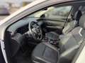 Hyundai TUCSON 1.6T Prime Mild-Hybrid Allwetter Navi LED Kamera Blanc - thumbnail 7