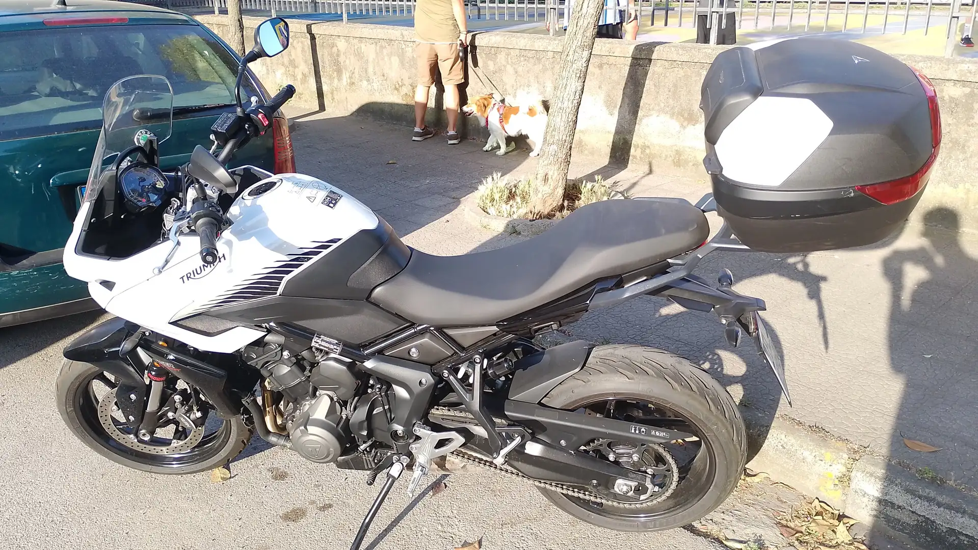 Triumph Tiger Sport 2022-2024 Weiß - 1