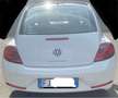 Volkswagen Maggiolino Maggiolino 2017 1.2 tsi Design 105cv Alb - thumbnail 2