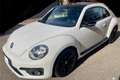 Volkswagen Maggiolino Maggiolino 2017 1.2 tsi Design 105cv Alb - thumbnail 3