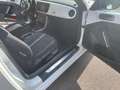 Volkswagen Maggiolino Maggiolino 2017 1.2 tsi Design 105cv Alb - thumbnail 10