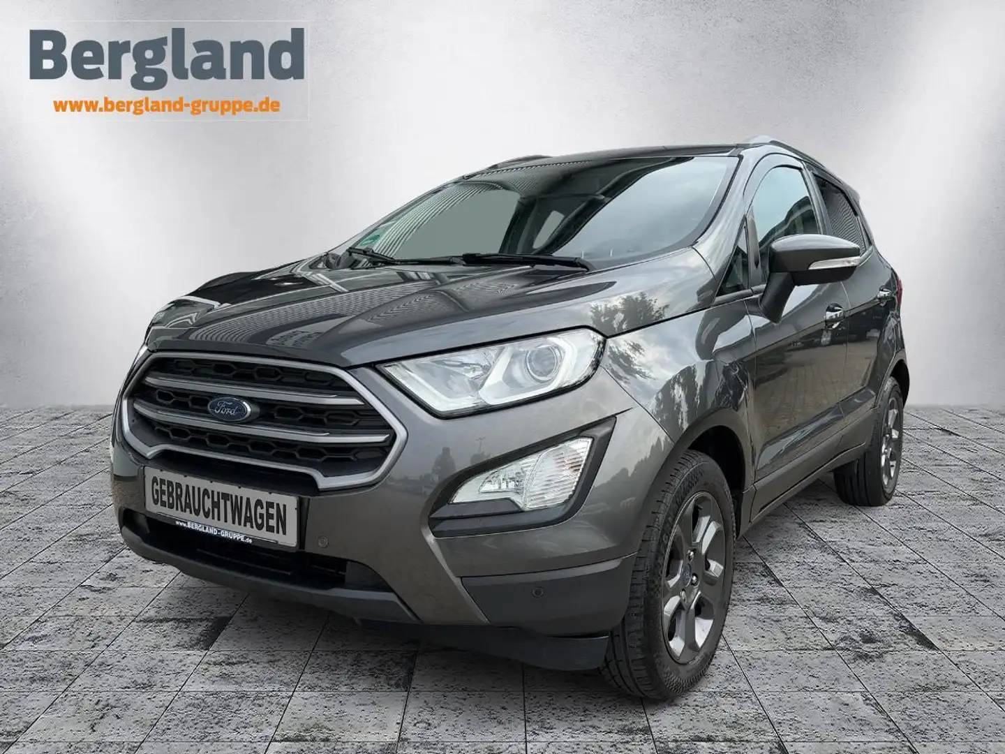Ford EcoSport Cool & Connect 1,0L Gris - 1