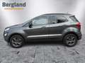 Ford EcoSport Cool & Connect 1,0L Gris - thumbnail 3