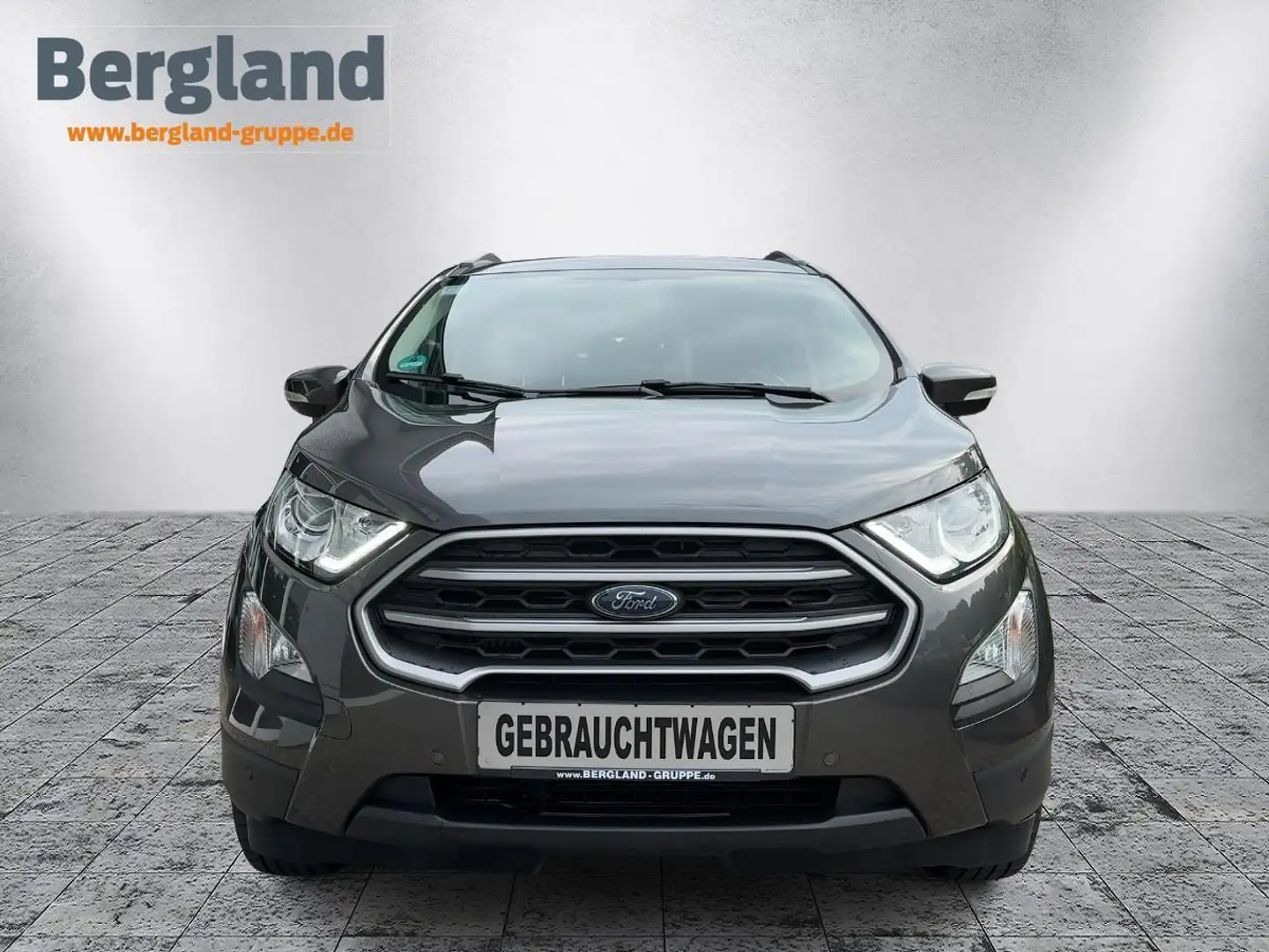 Ford EcoSport Cool & Connect 1,0L Gris - 2