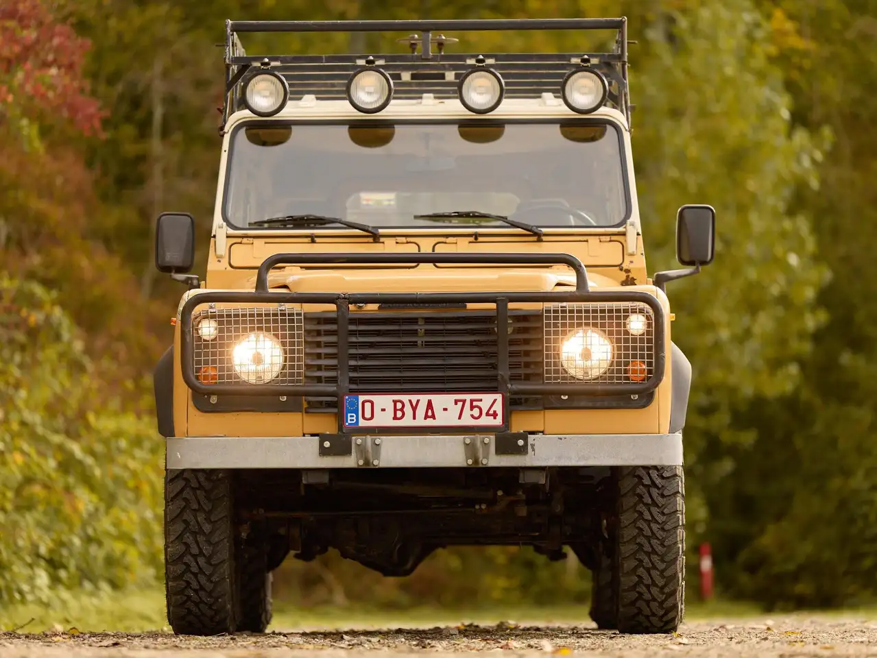 Land Rover Defender One Ten V8 Camel Edition, foto 6