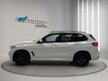 BMW X5 xDrive 30dA xLine Blanco - thumbnail 3