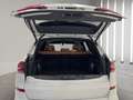 BMW X5 xDrive 30dA xLine Blanco - thumbnail 18