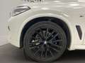 BMW X5 xDrive 30dA xLine Blanco - thumbnail 19