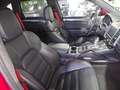 Porsche Cayenne GTS Aut. Rojo - thumbnail 14