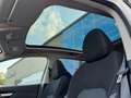 Nissan Qashqai 1.5 dCi 115 CV DCT N-CONNECTA *TETTO*UNIPROP* Bianco - thumbnail 39