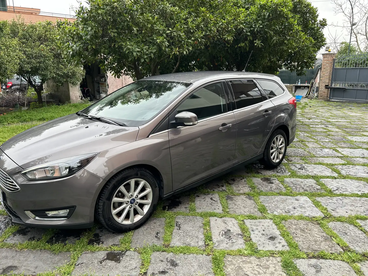 Ford Focus SW 1.5 tdci Titanium s&s 120cv powershift Grigio - 2
