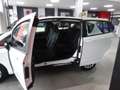 Ford B-Max 1.6 tdci  95cv Econetic Tecnology Blanc - thumbnail 11