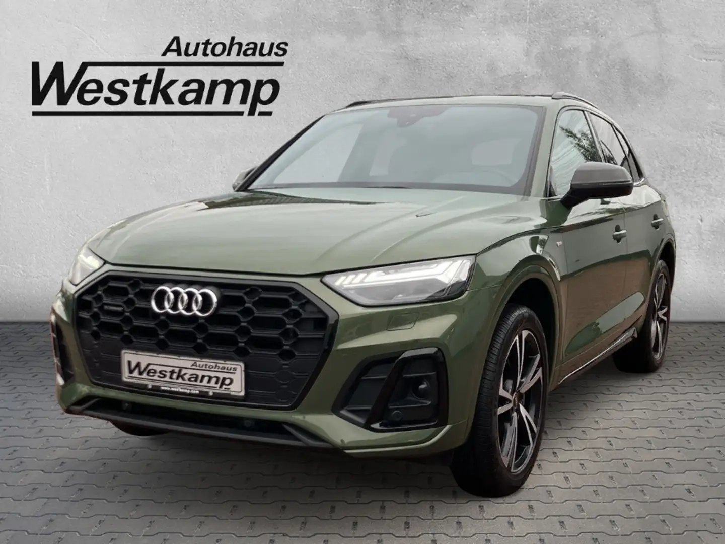 Audi Q5 S line 50 TFSI e quattro S-Tronic Leder Kamera Vert - 1