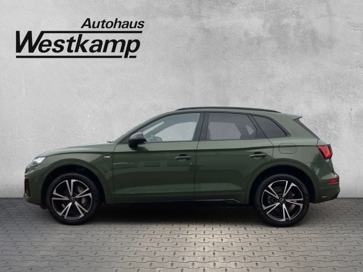 Audi Q5 S line 50 TFSI e quattro S-Tronic Leder Kamera Vert - 2