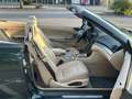 BMW 318 Ci e46 euro 4 ( Lez ok ) avec entretien bmw Verde - thumbnail 12