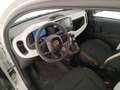 Fiat Panda Cross 1.0 FireFly Hybrid Bianco - thumbnail 9