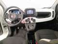 Fiat Panda Cross 1.0 FireFly Hybrid Bianco - thumbnail 8
