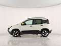 Fiat Panda Cross 1.0 FireFly Hybrid Bianco - thumbnail 7