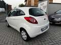 Ford Ka/Ka+ Ka 1.3 Open Collection 70cv Weiß - thumbnail 5